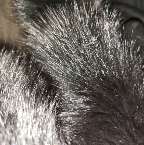 Max Mara (Italy) Cashmere Fox Shawl - Picture 3 of 5